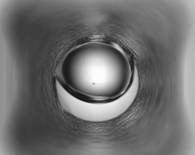 X0000096421441200801311403