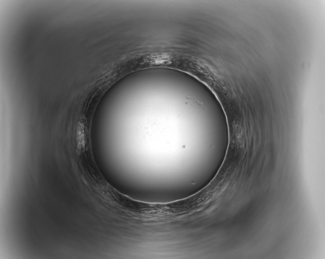 X0000096421442200801311403