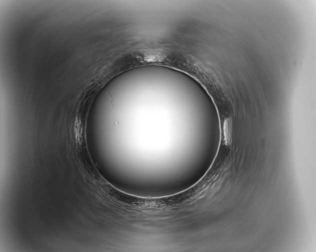 X0000096421443200801311403