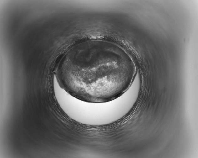 X0000096421444200801311403