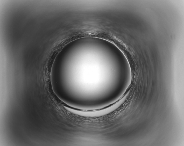 X0000096421447200801311403