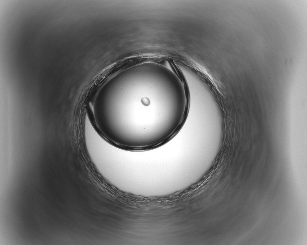 X0000096421448200801311403