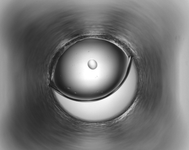 X0000096421449200801311403