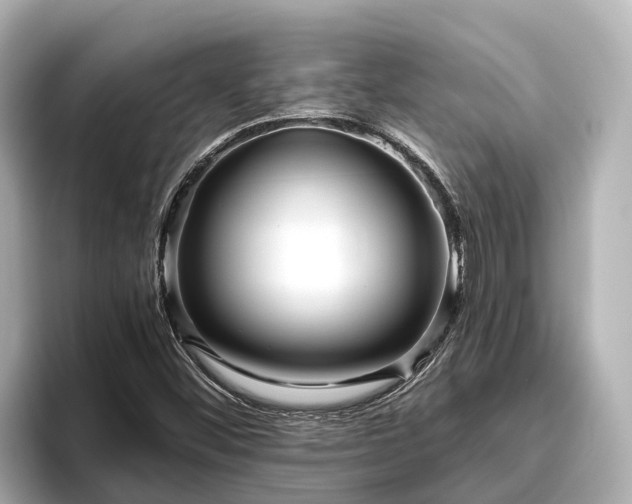 X0000096421452200801311403