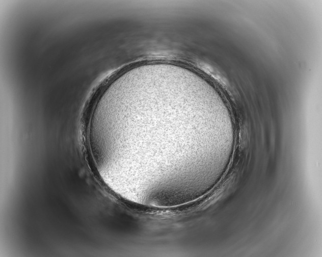 X0000096421454200801311403