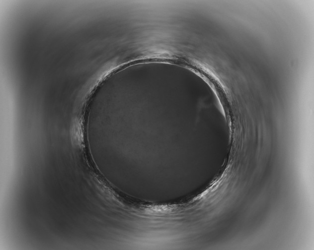 X0000096421455200801311403