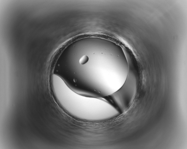 X0000096421456200801311403