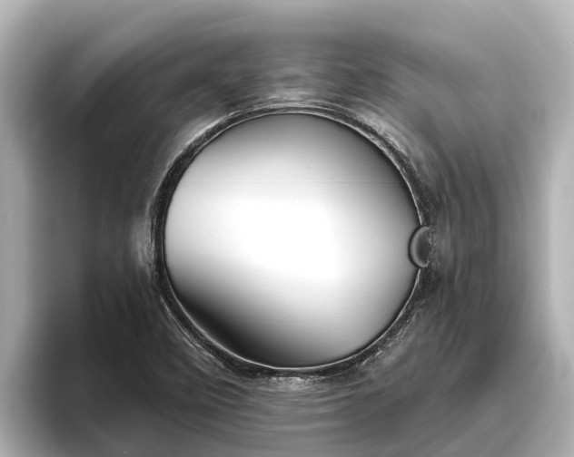 X0000096421458200801311403
