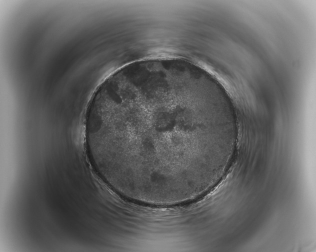 X0000096421459200801311403