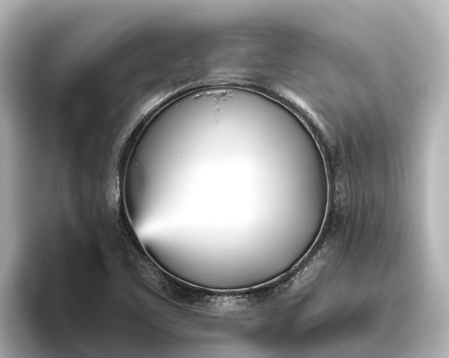 X0000096421461200801311403