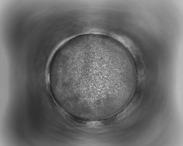 X0000096421462200801311402