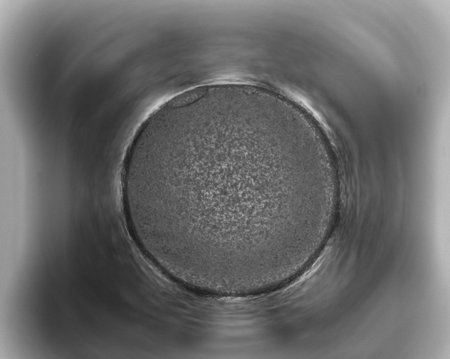 X0000096421463200801311402