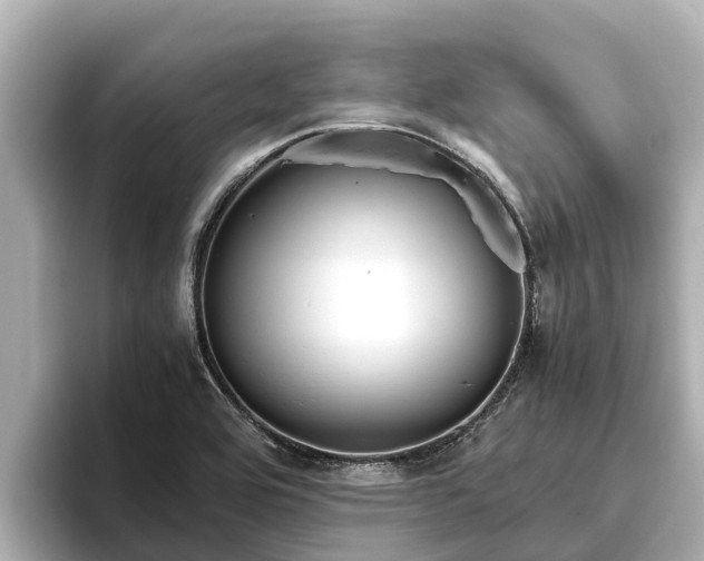 X0000096421464200801311402