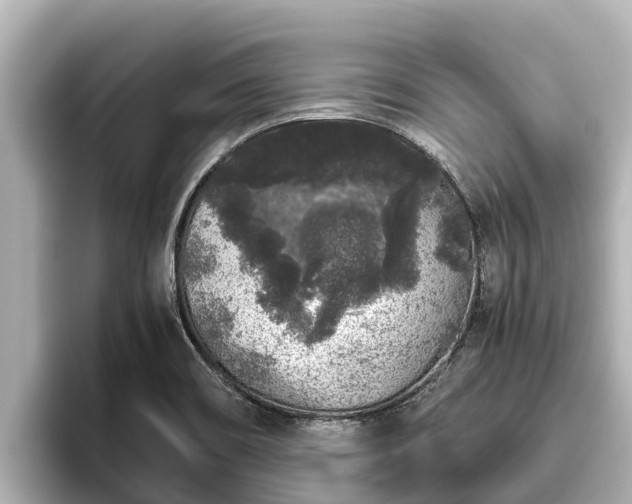 X0000096421466200801311402