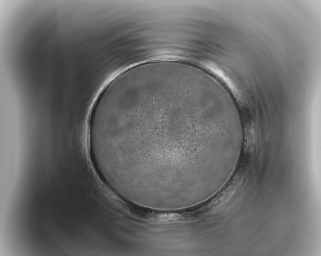 X0000096421467200801311402