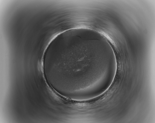 X0000096421468200801311402
