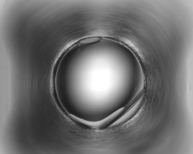 X0000096421469200801311402