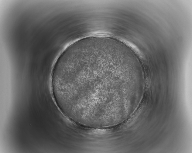 X0000096421470200801311402