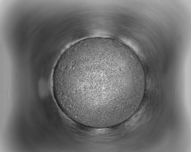 X0000096421471200801311402