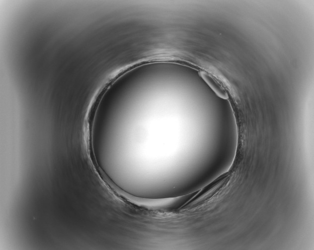 X0000096421472200801311402