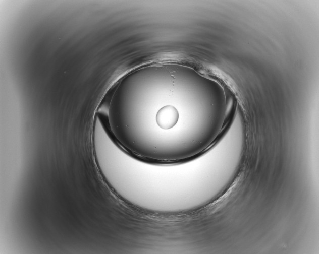 X0000096421473200801311402