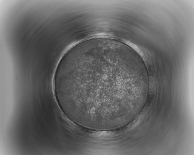 X0000096421474200801311402