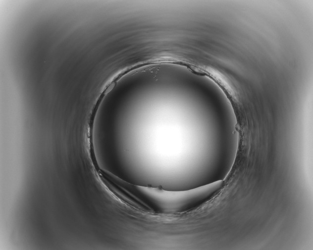 X0000096421476200801311402