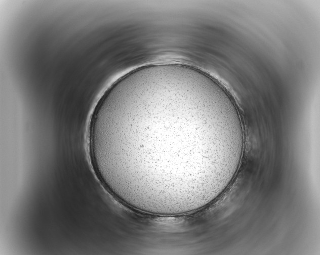 X0000096421478200801311402
