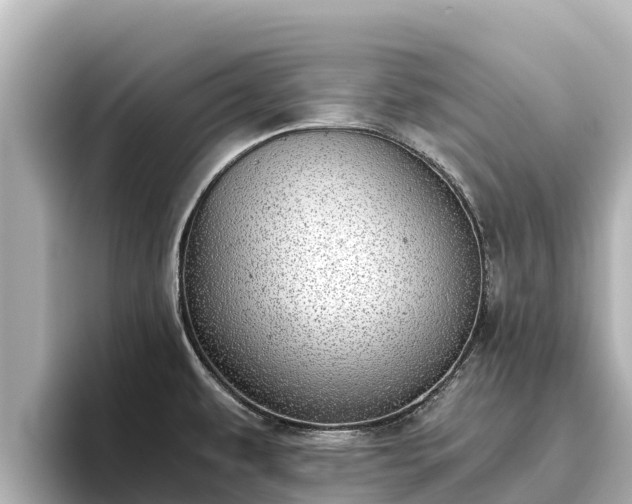 X0000096421479200801311402