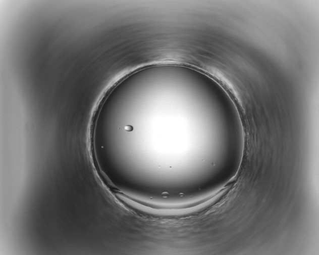 X0000096421480200801311402