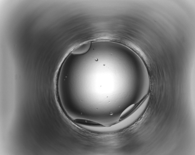 X0000096421483200801311402