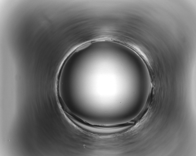 X0000096421484200801311402