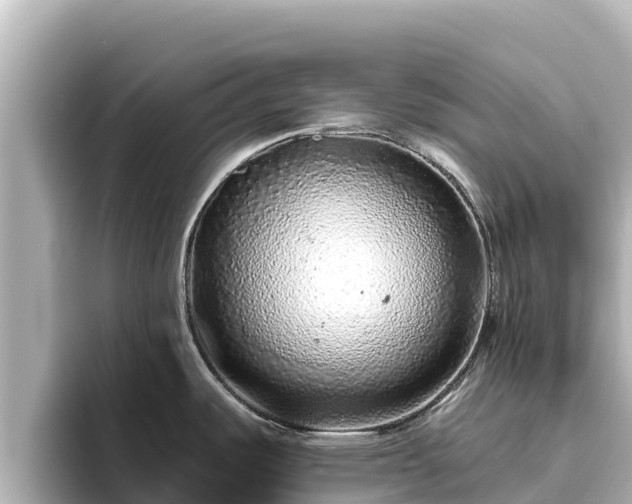 X0000096421487200801311402
