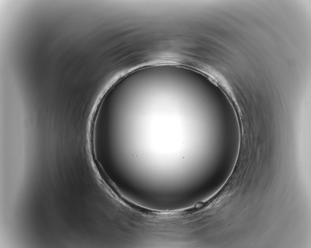 X0000096421488200801311402