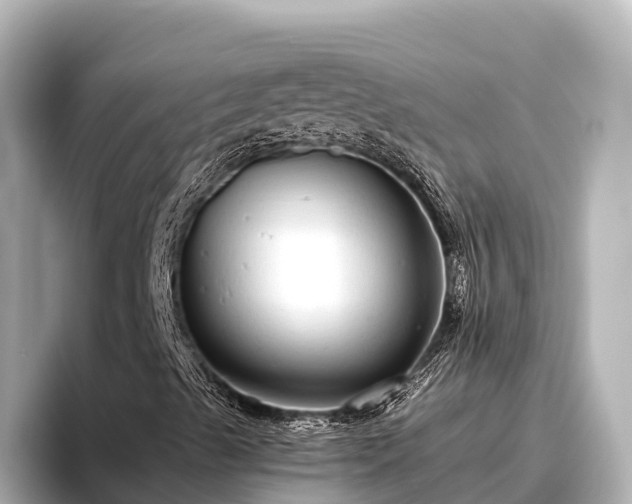 X0000096421489200801311402