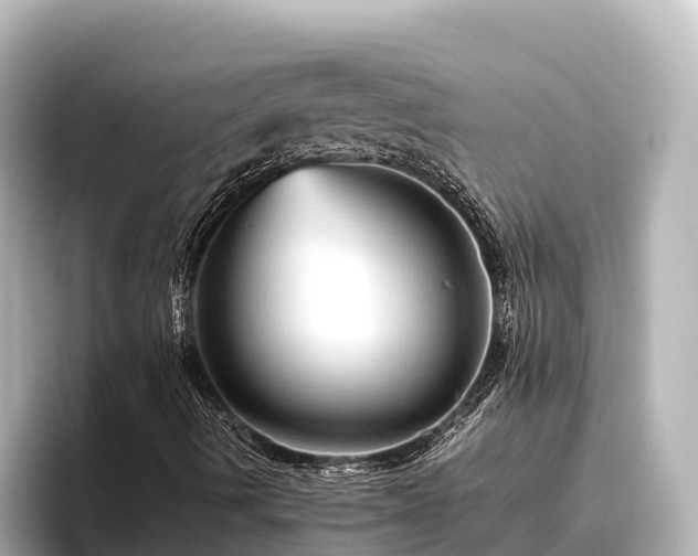 X0000096421490200801311402