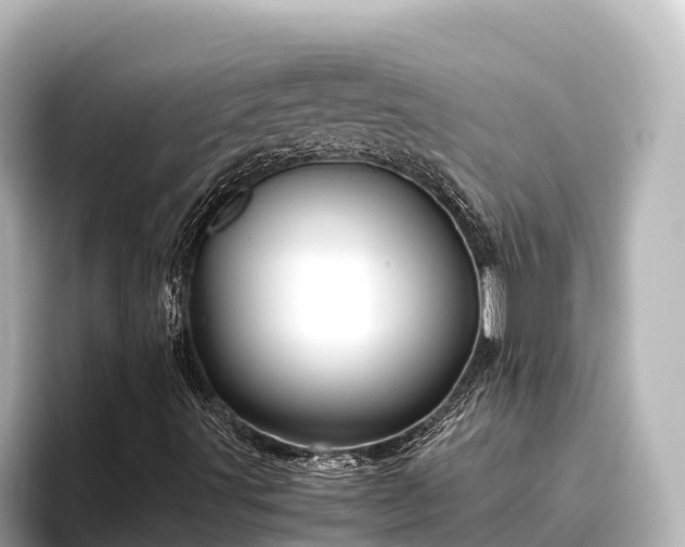 X0000096421491200801311402