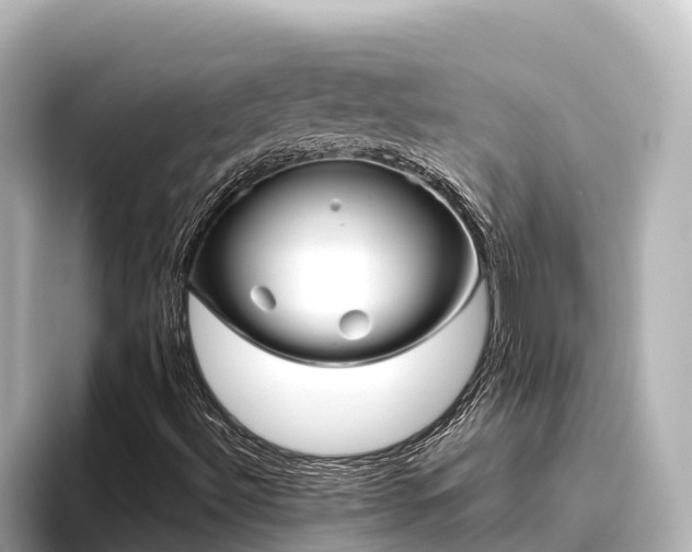 X0000096421492200801311402