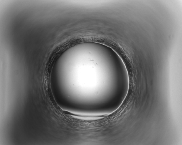 X0000096421493200801311402