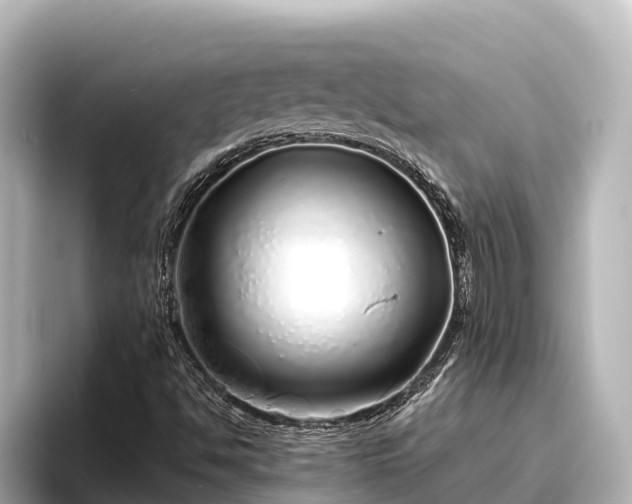 X0000096421494200801311402