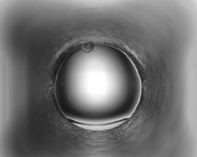 X0000096421495200801311402
