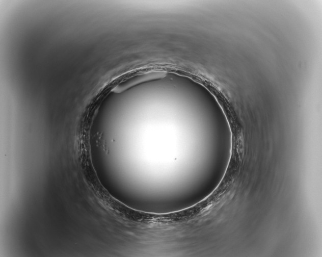 X0000096421496200801311402