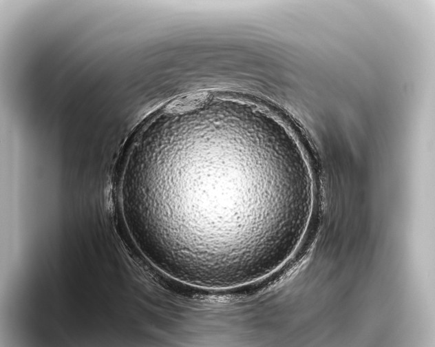 X0000096421497200801311402