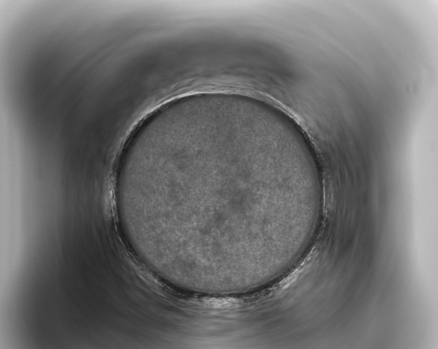 X0000096421498200801311402