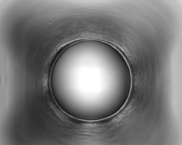 X0000096421499200801311402