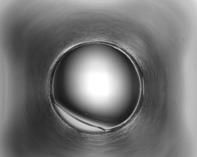 X0000096421500200801311402