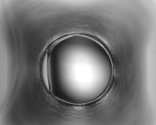 X0000096421501200801311402
