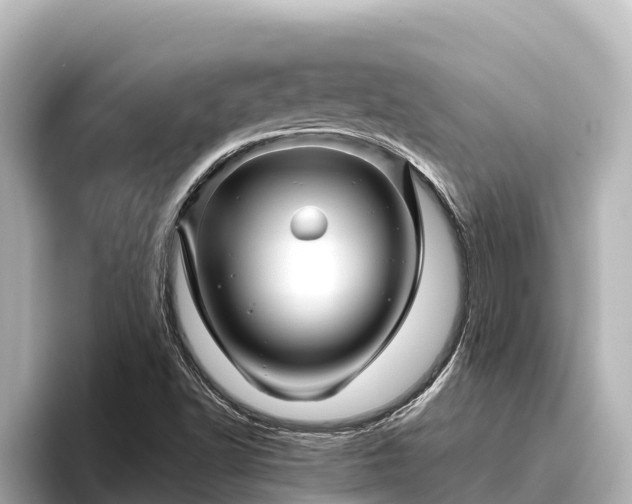 X0000096421502200801311402