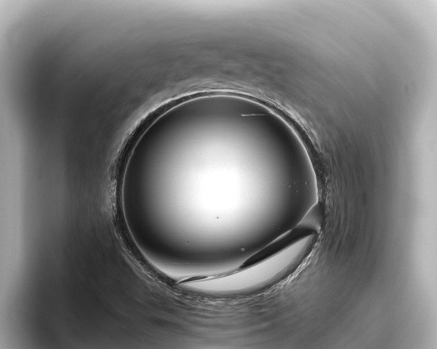X0000096421503200801311402