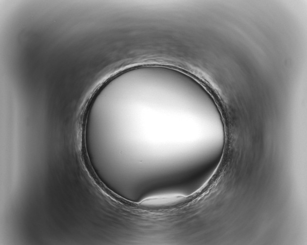 X0000096421504200801311402